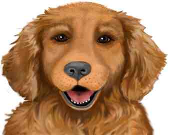 Woof_Hanna