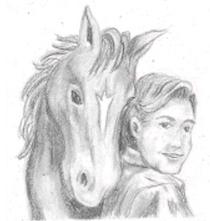 pkEDboyhorse