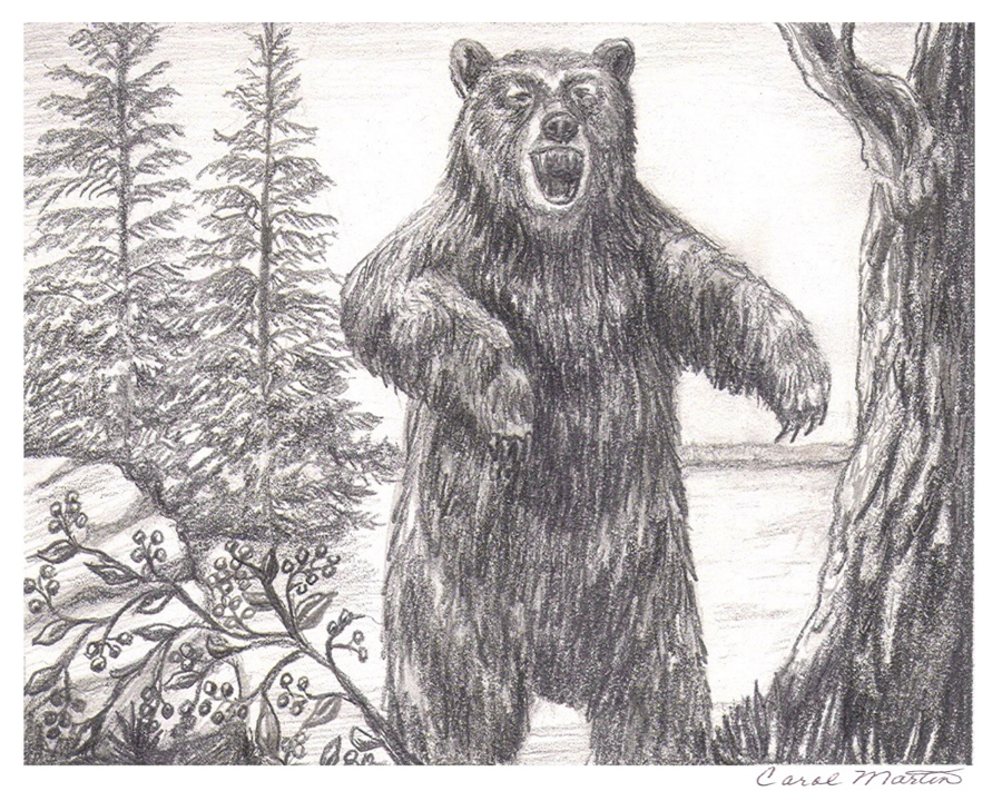 pkSB_bear0007