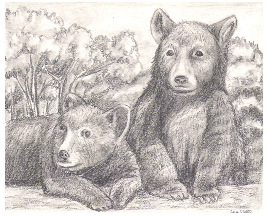 pkSBbearcubs0008